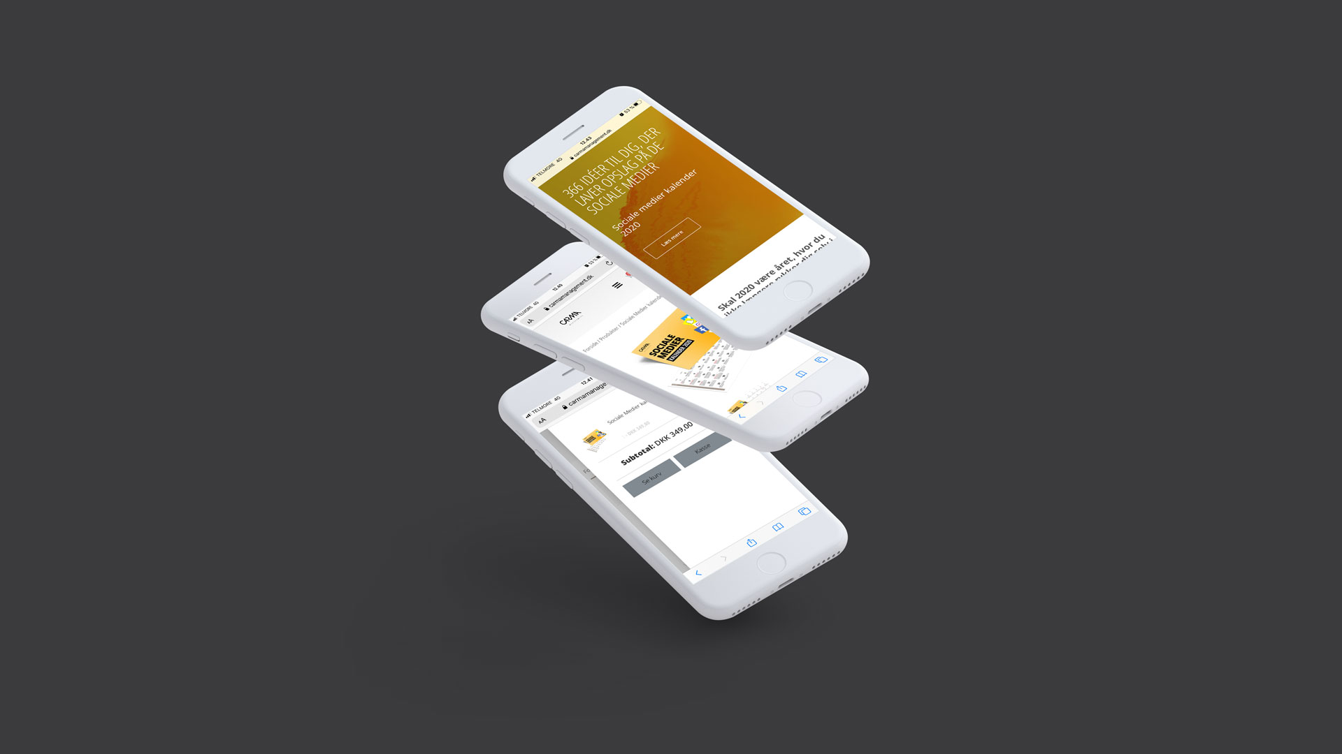 Carma Management responsive