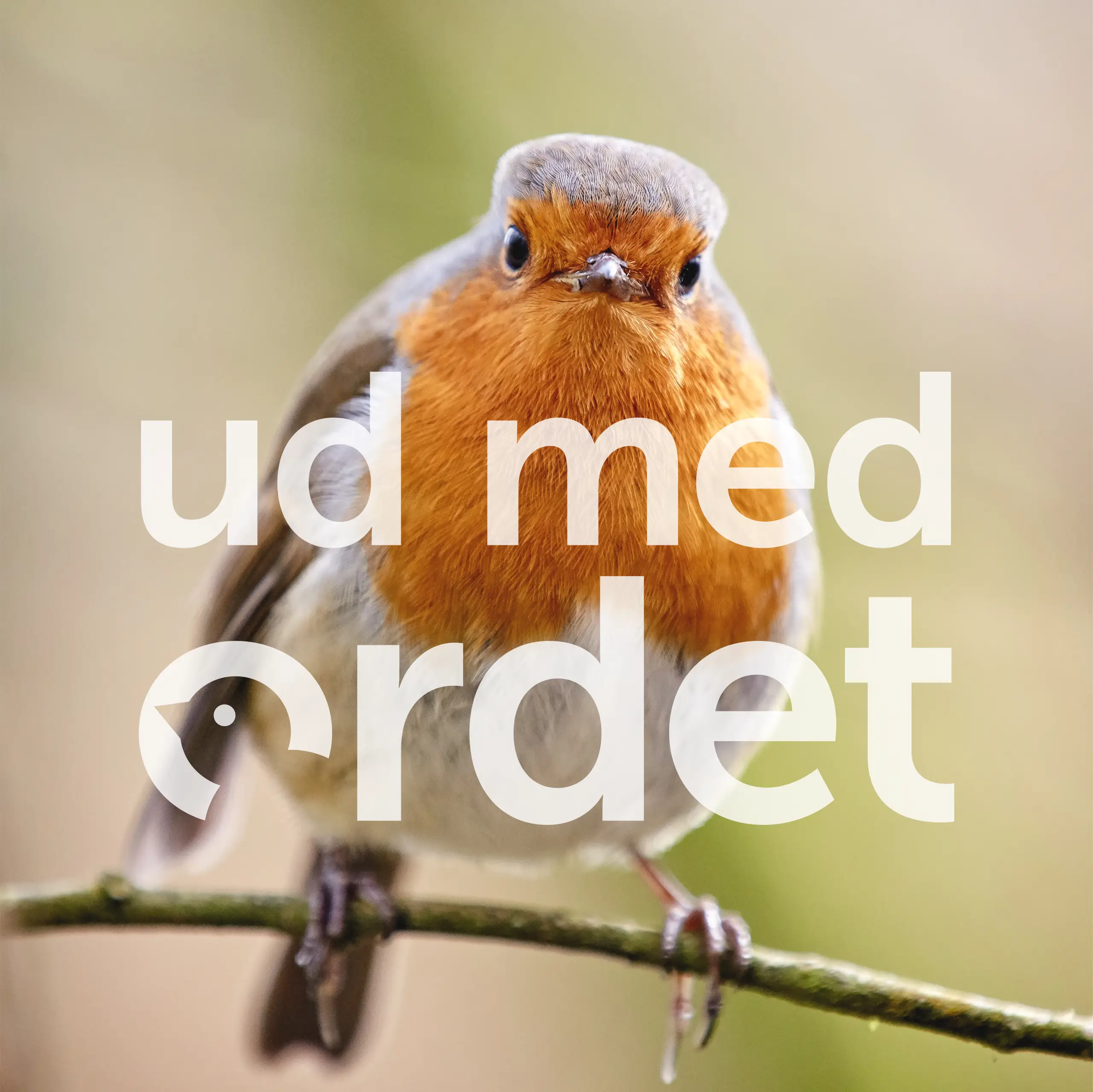 Ud med ordet fugl